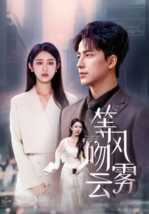 雾港刑侦剧高清免费观看